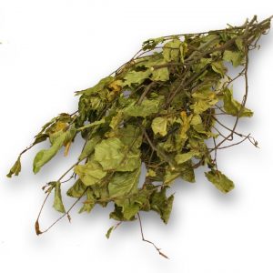 JR ESN Haselnuss-Ernte 40g